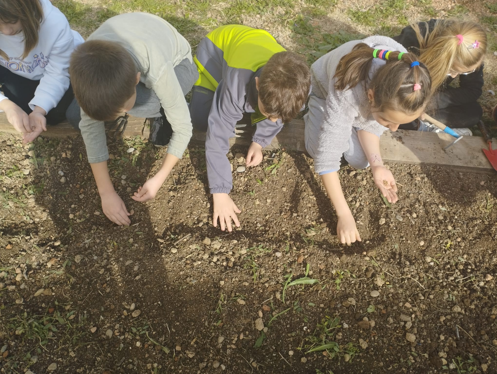 WhatsApp Image 2023-02-14 at 16.41.50