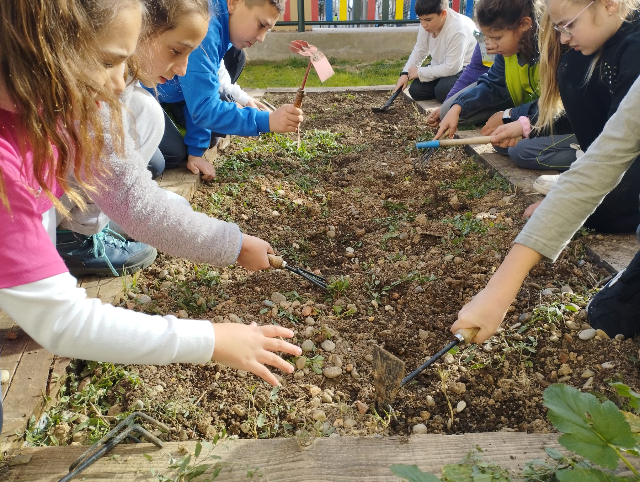 WhatsApp Image 2023-02-14 at 16.41.51 (1)