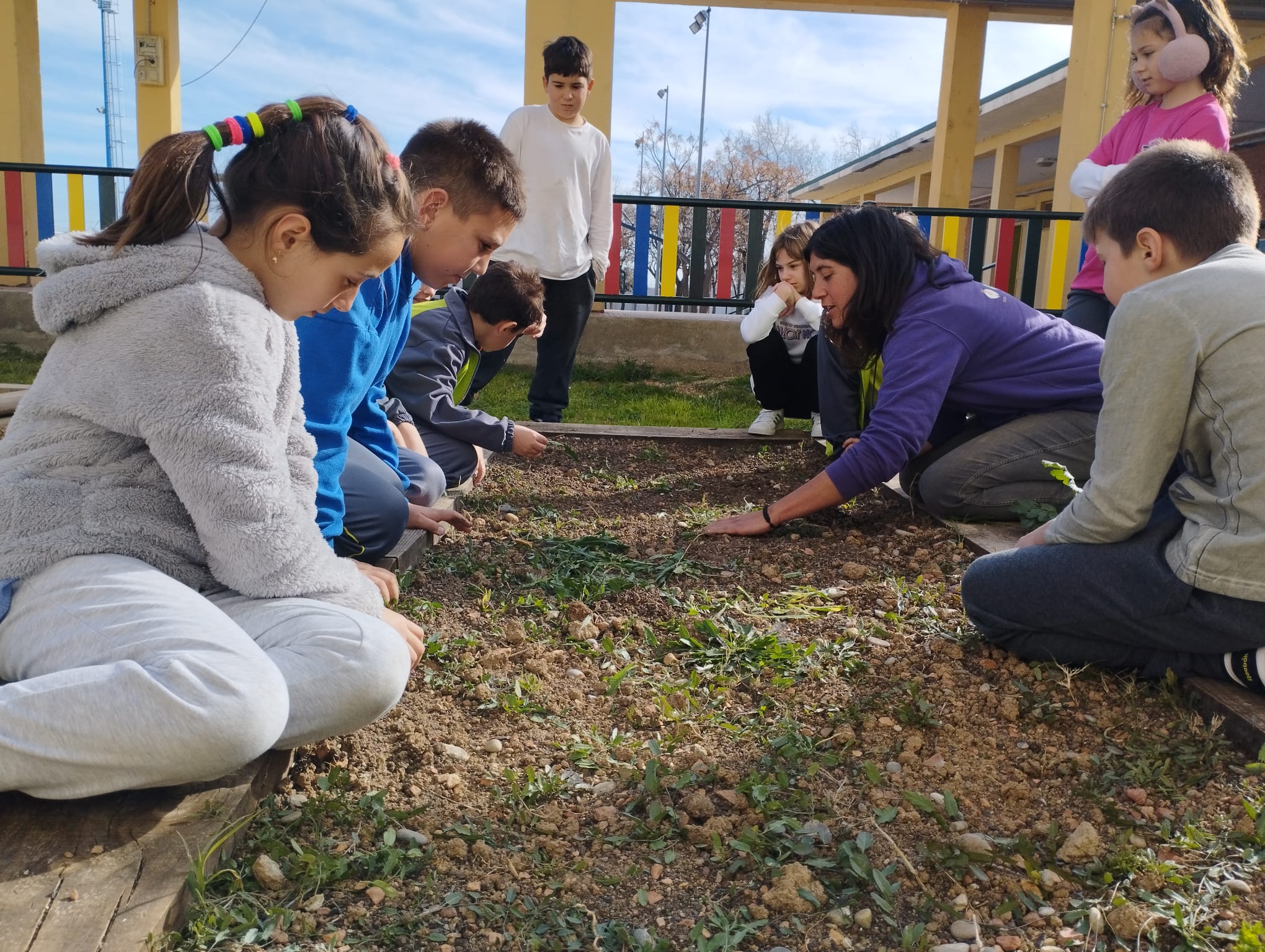 WhatsApp Image 2023-02-14 at 16.41.51 (2)