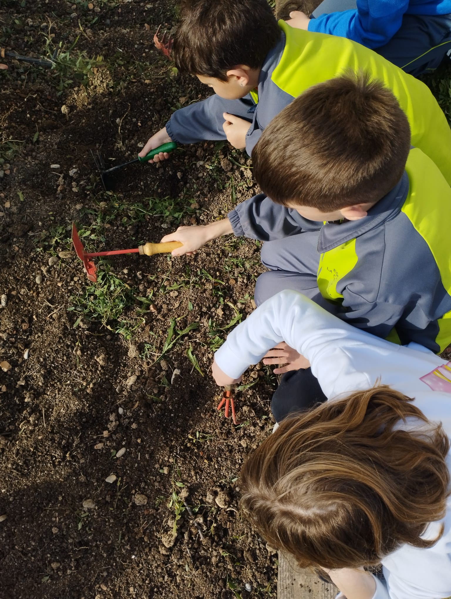 WhatsApp Image 2023-02-14 at 16.41.51