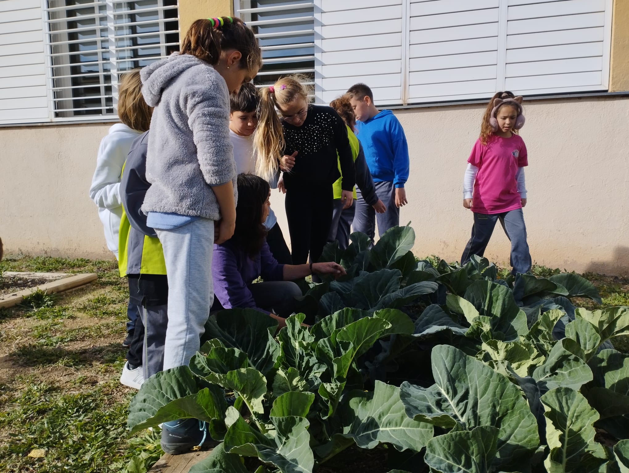 WhatsApp Image 2023-02-14 at 16.41.52 (1)