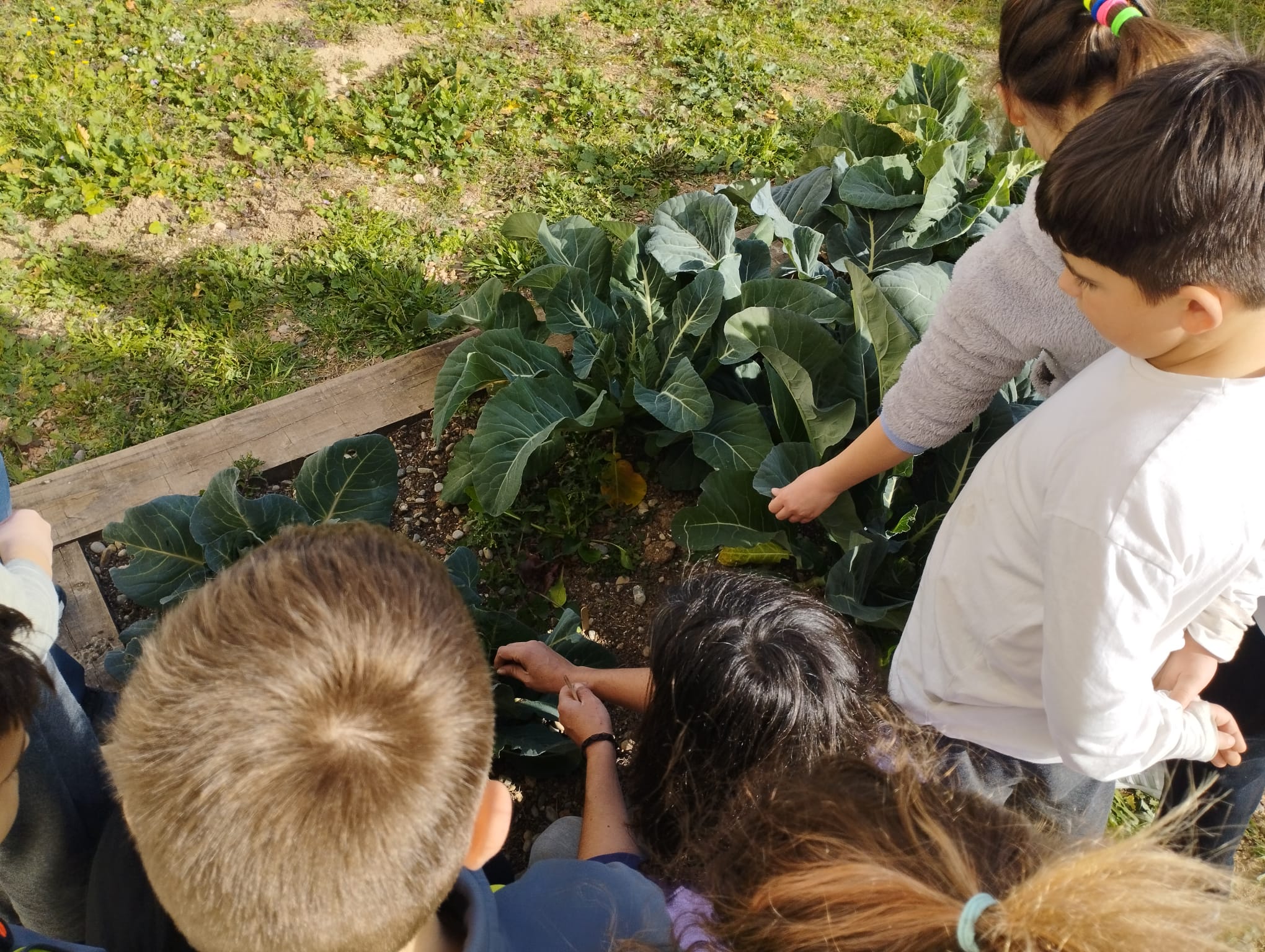 WhatsApp Image 2023-02-14 at 16.41.52