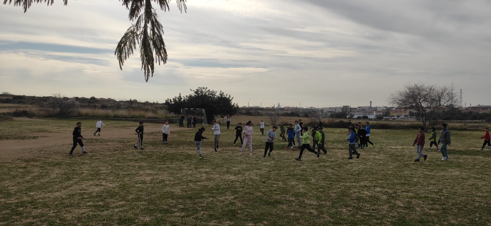 WhatsApp Image 2023-02-16 at 11.24.01