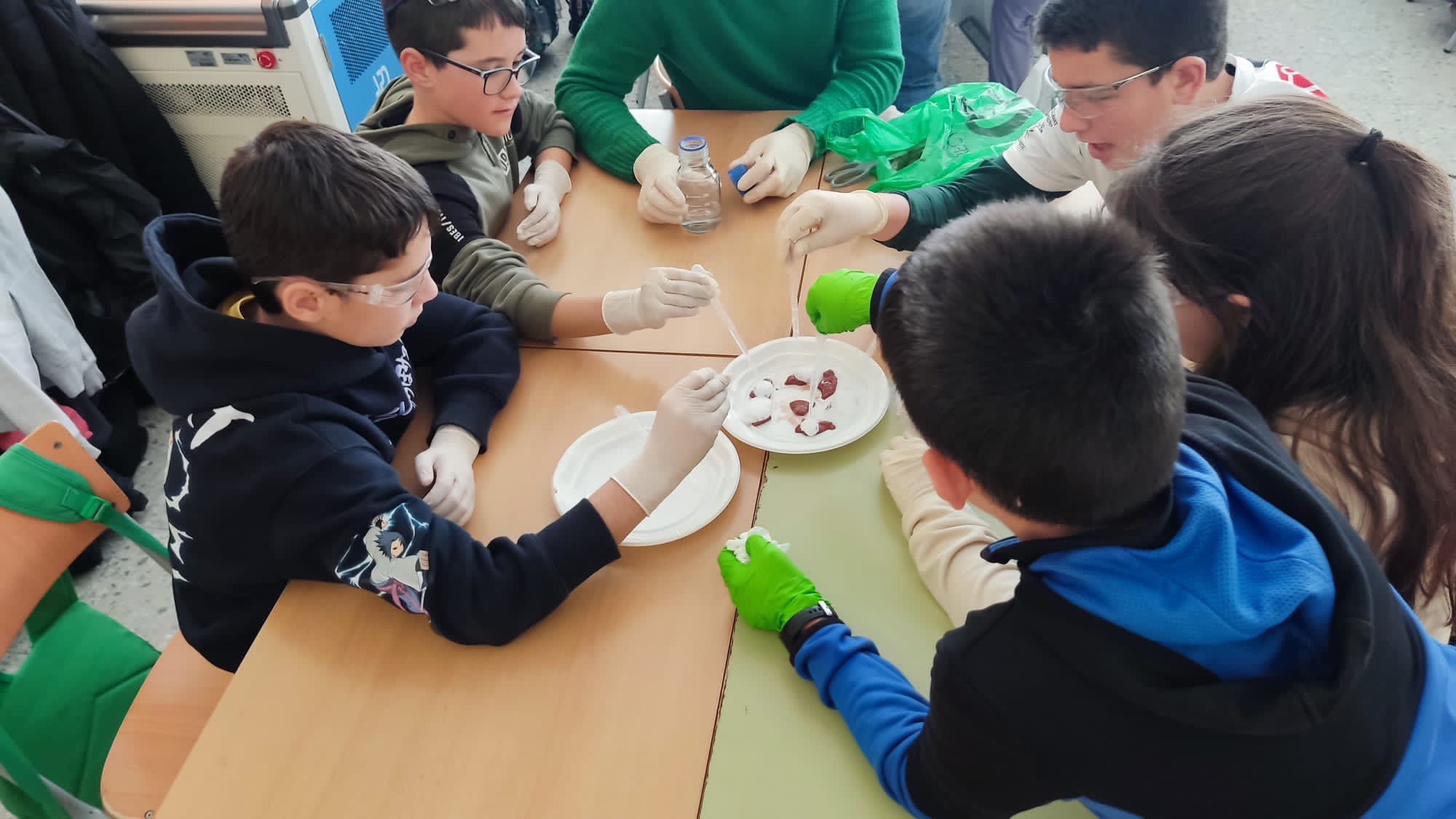 WhatsApp Image 2023-02-22 at 16.24.23