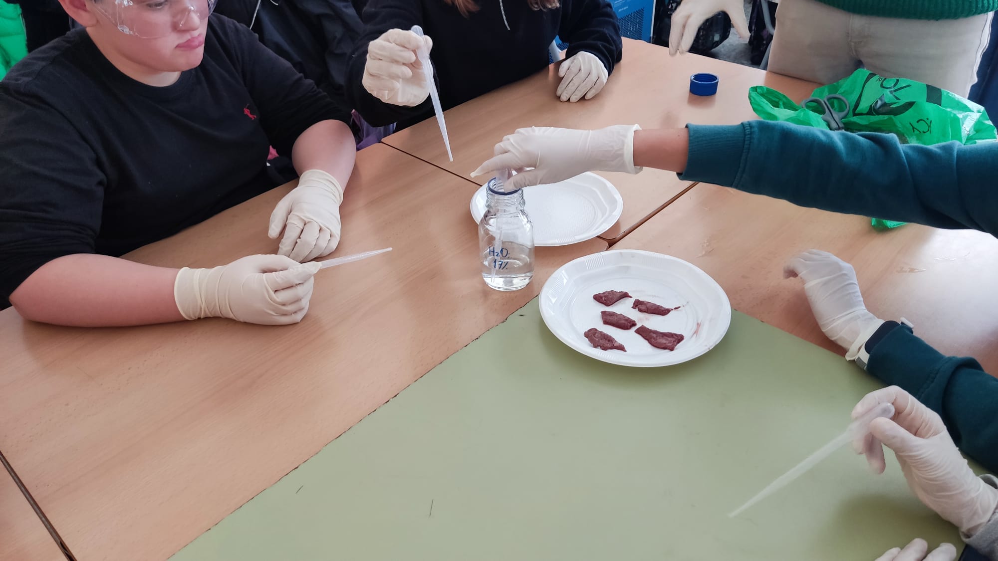 WhatsApp Image 2023-02-22 at 16.24.25 (3)