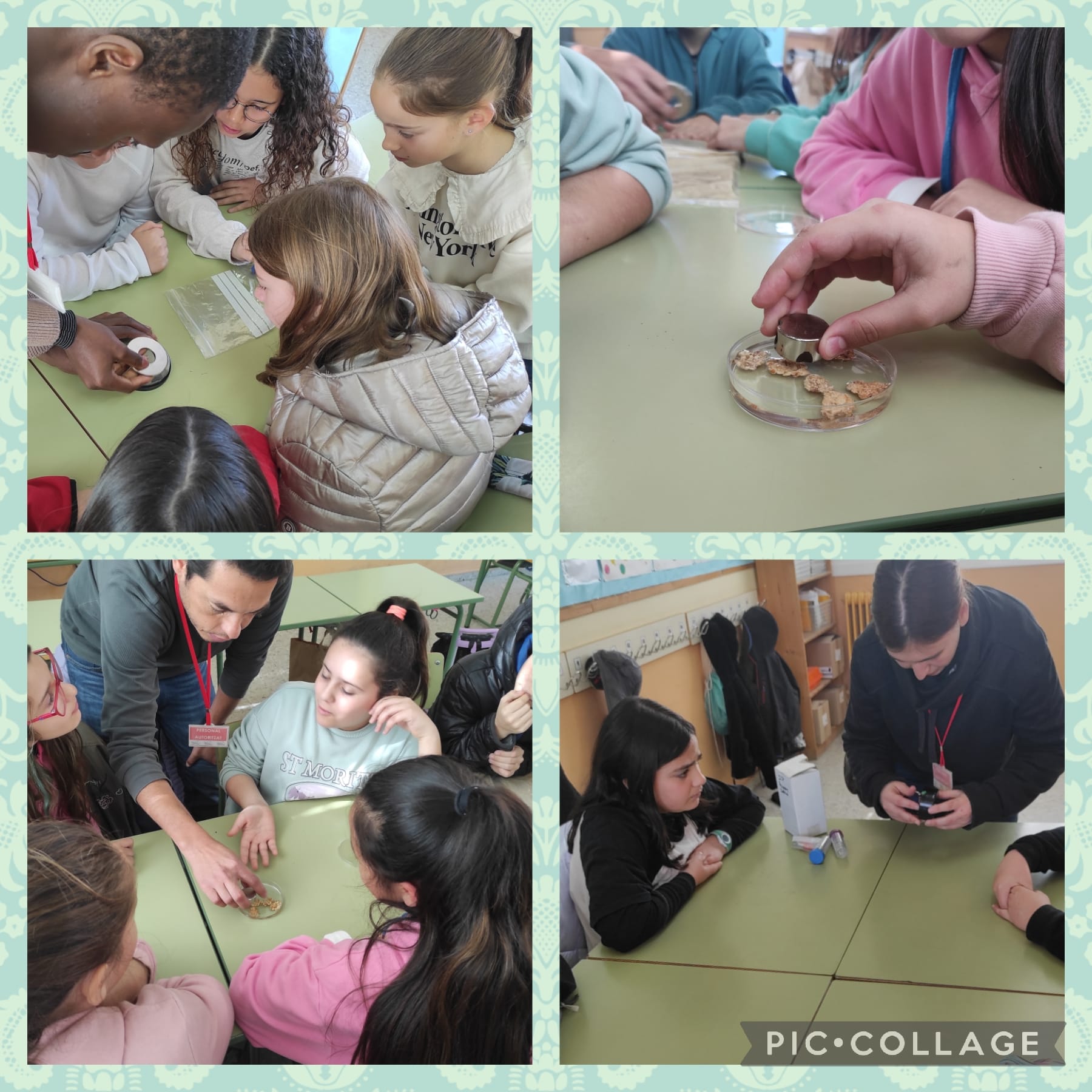 WhatsApp Image 2023-02-27 at 12.15.12