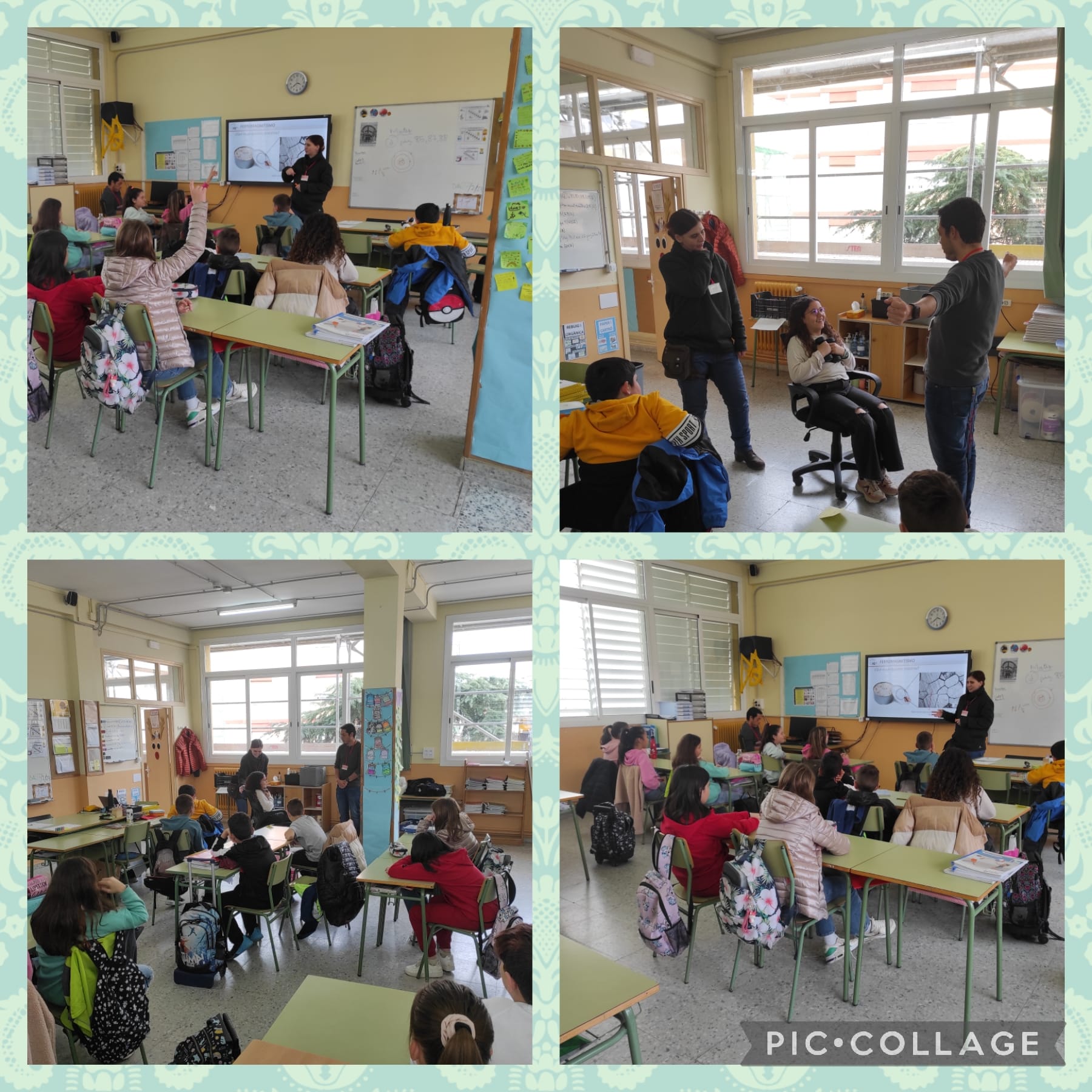 WhatsApp Image 2023-02-27 at 12.15.13