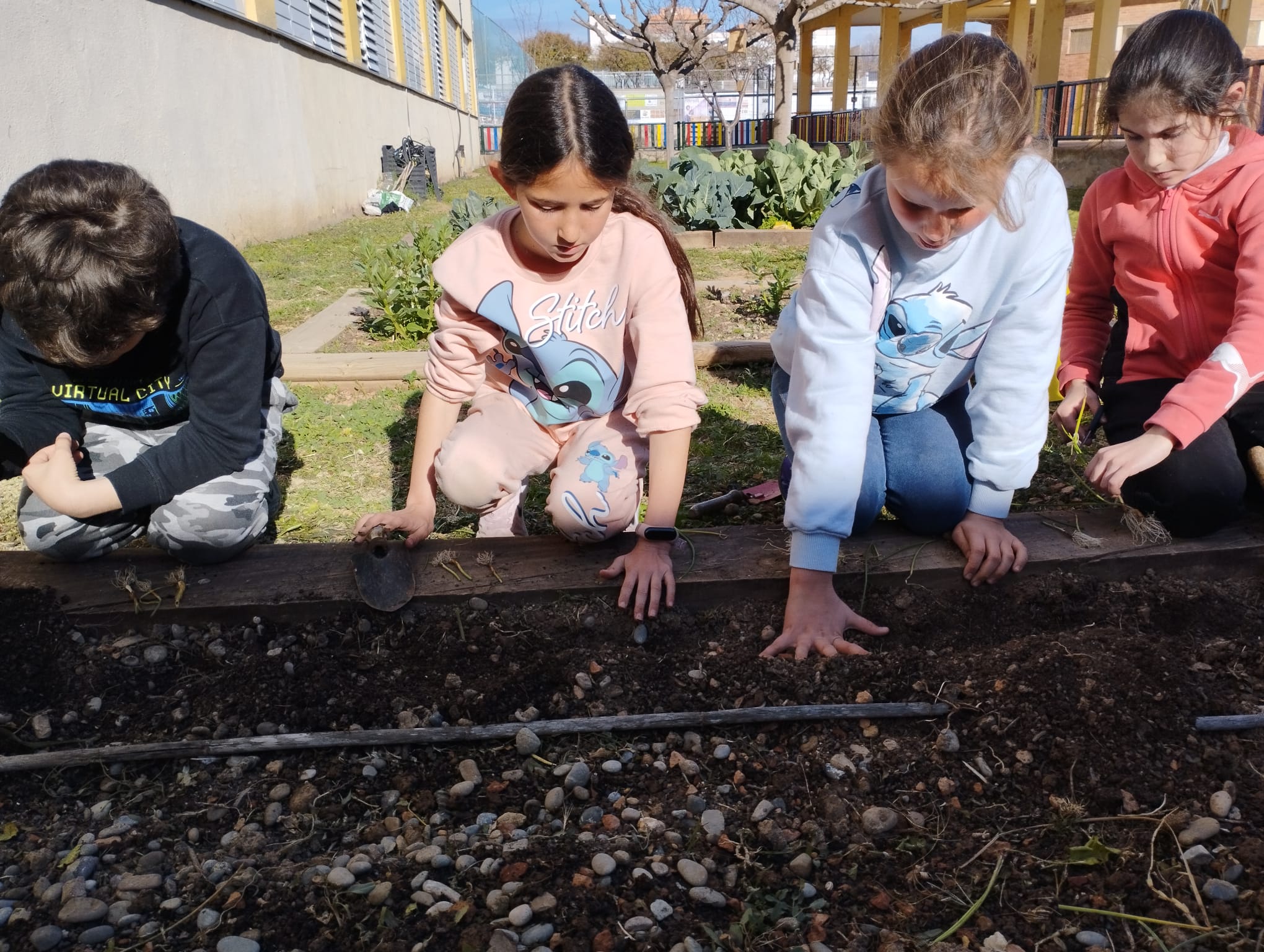 WhatsApp Image 2023-02-28 at 16.46.36 (1)