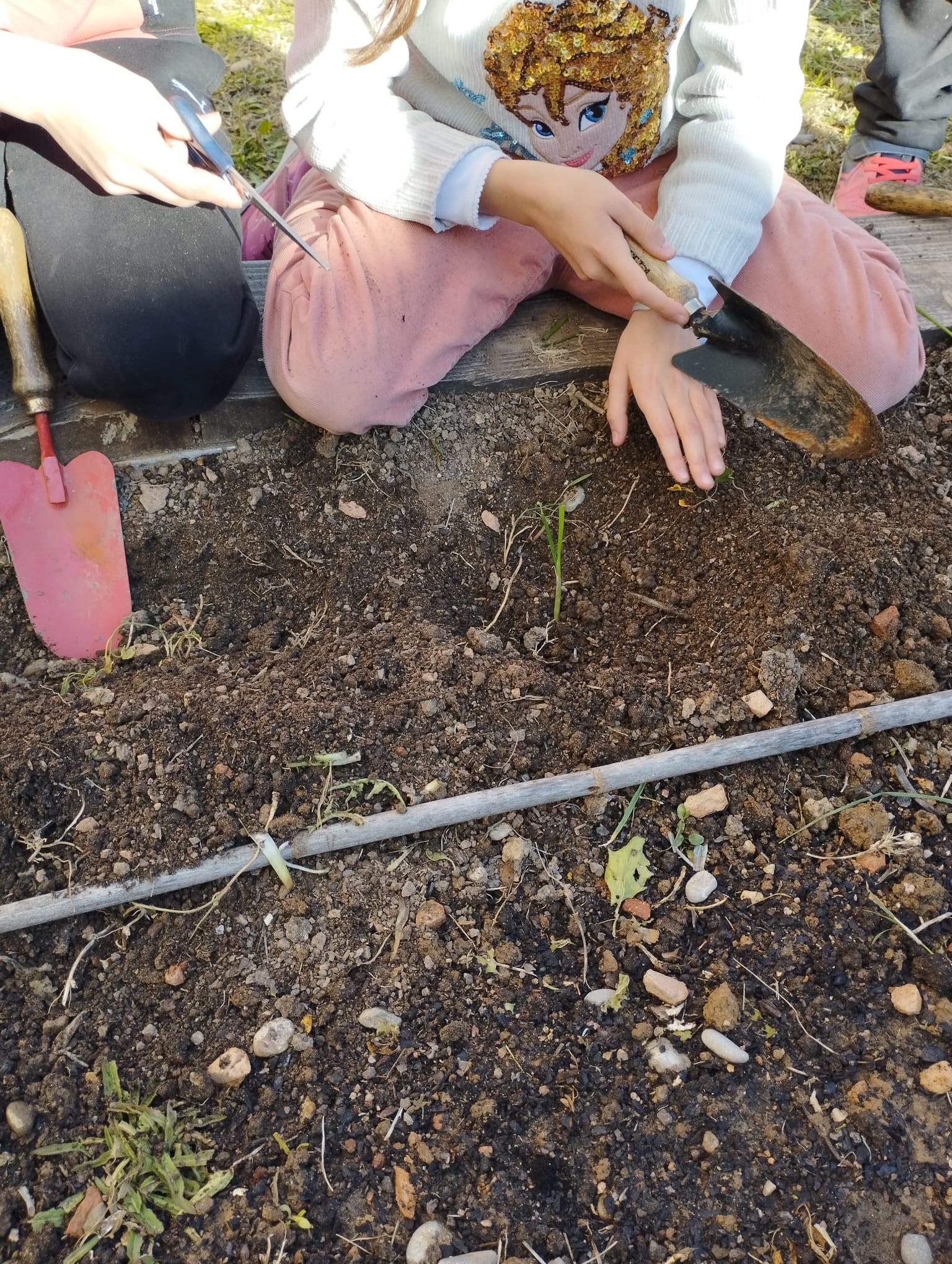 WhatsApp Image 2023-02-28 at 16.46.36 (2)