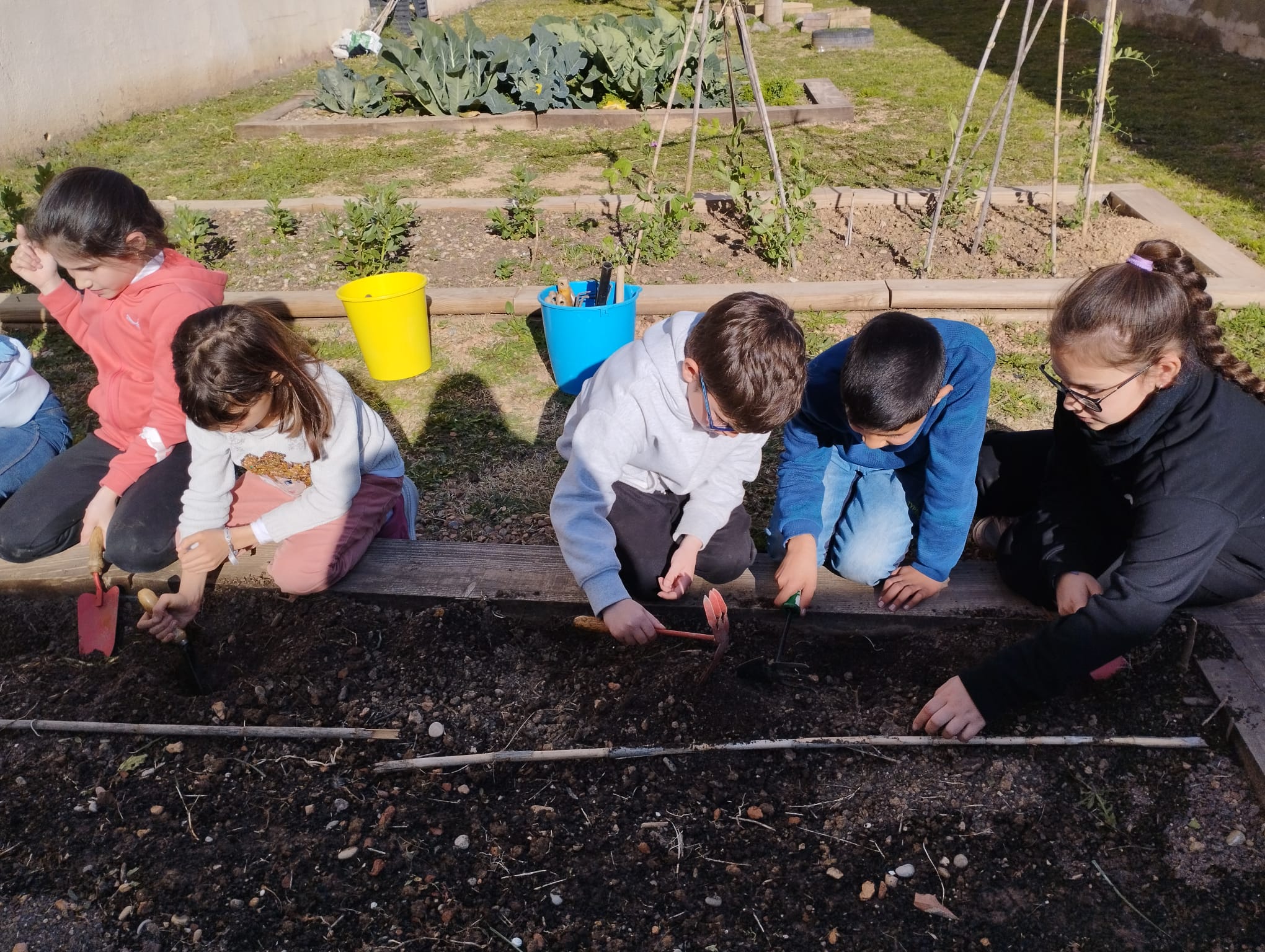 WhatsApp Image 2023-02-28 at 16.46.36