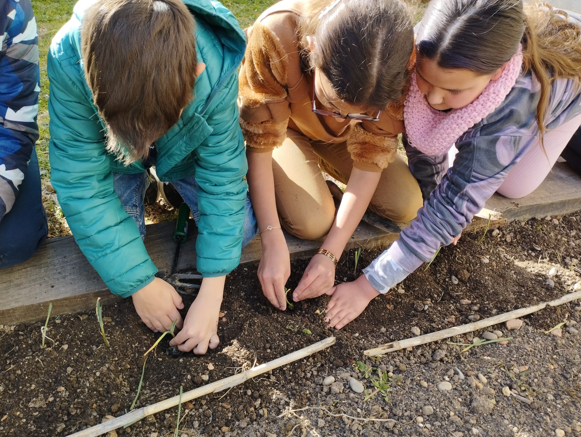 WhatsApp Image 2023-02-28 at 16.46.37