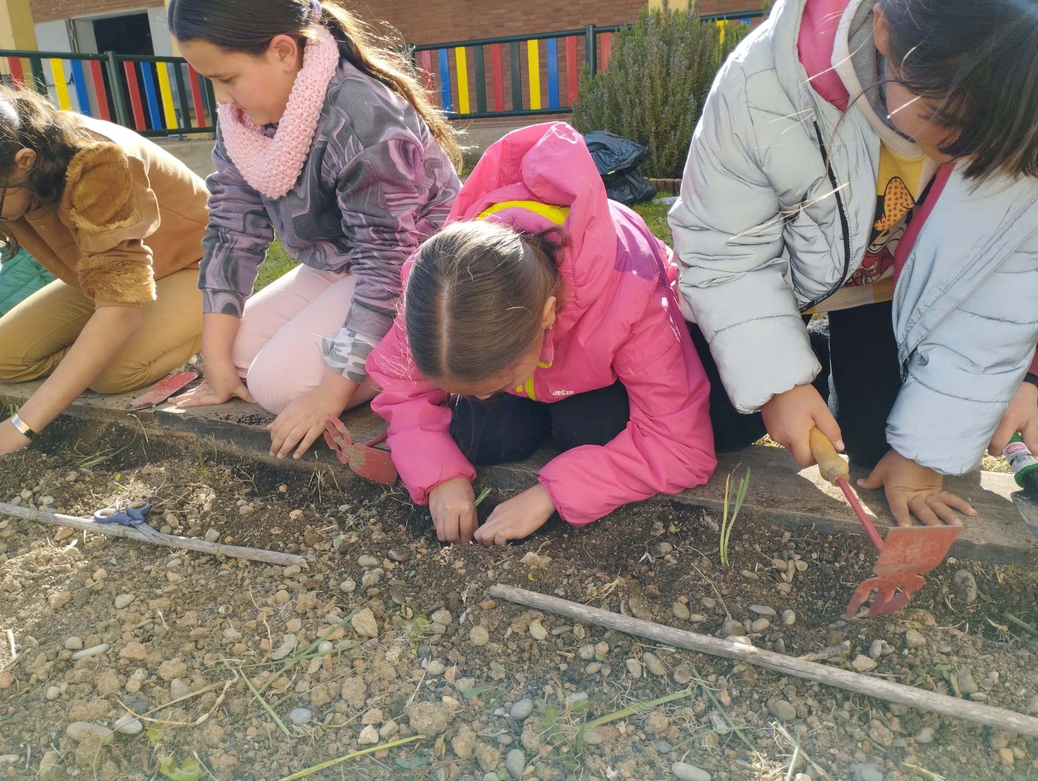 WhatsApp Image 2023-02-28 at 16.46.38 (1)