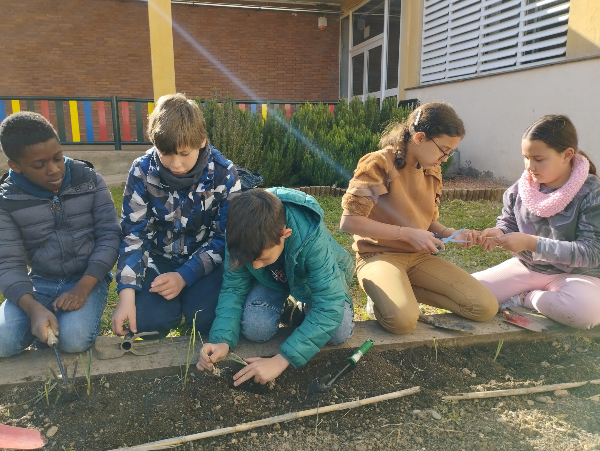 WhatsApp Image 2023-02-28 at 16.46.38 (2)