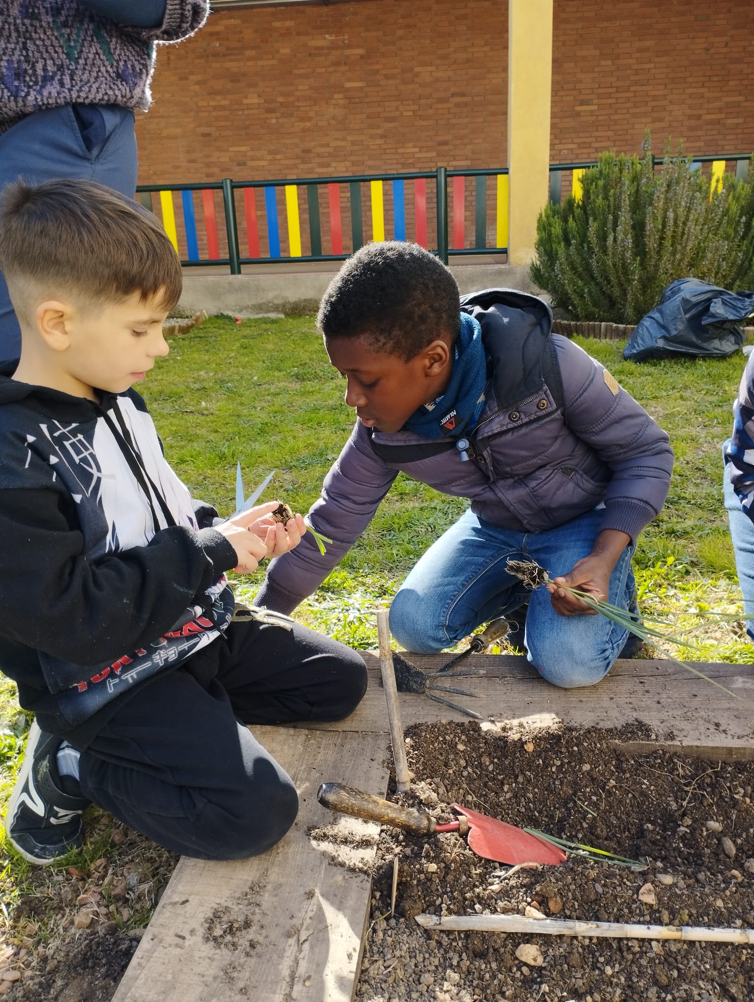 WhatsApp Image 2023-02-28 at 16.46.38