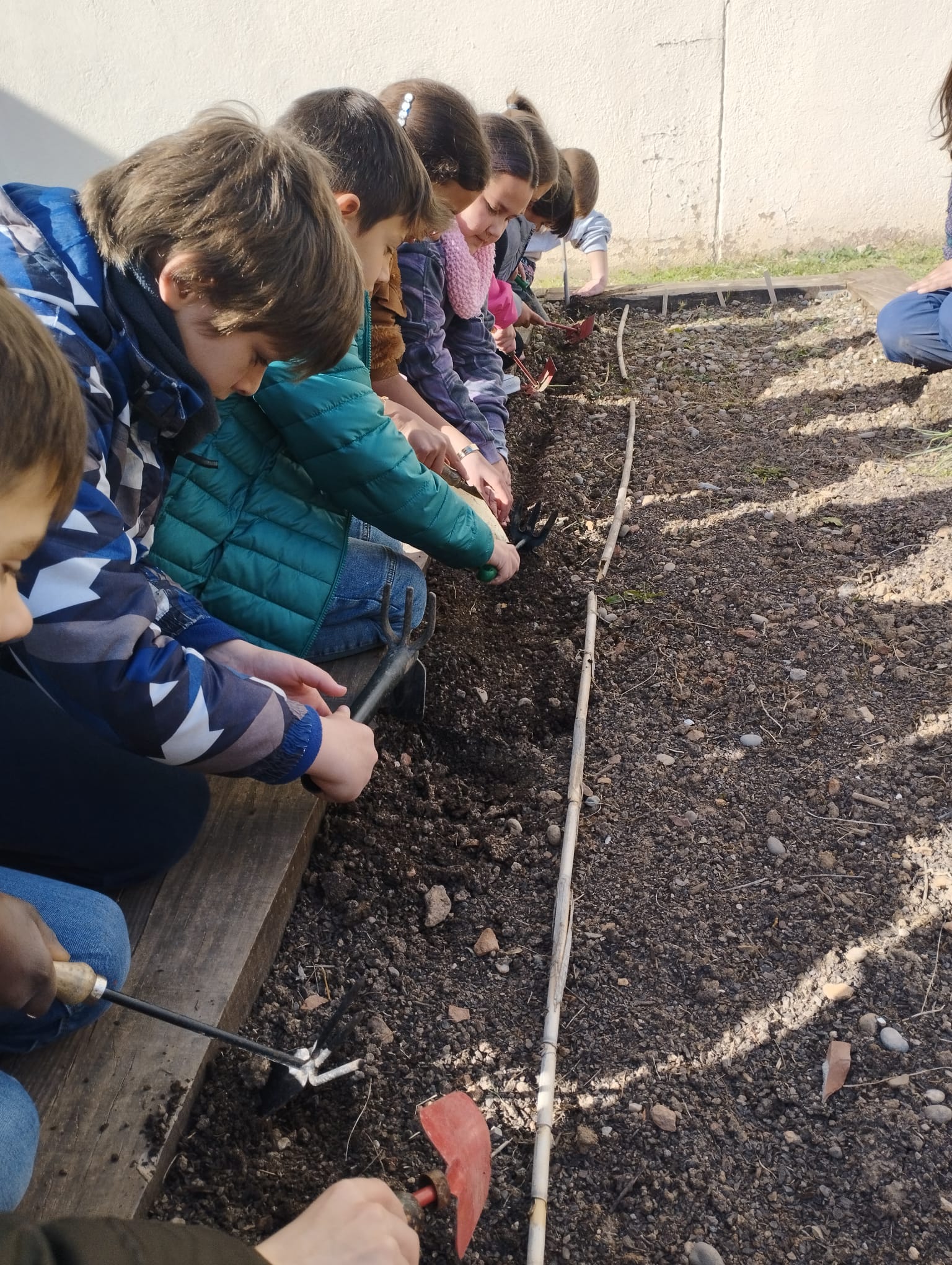 WhatsApp Image 2023-02-28 at 16.46.39 (1)