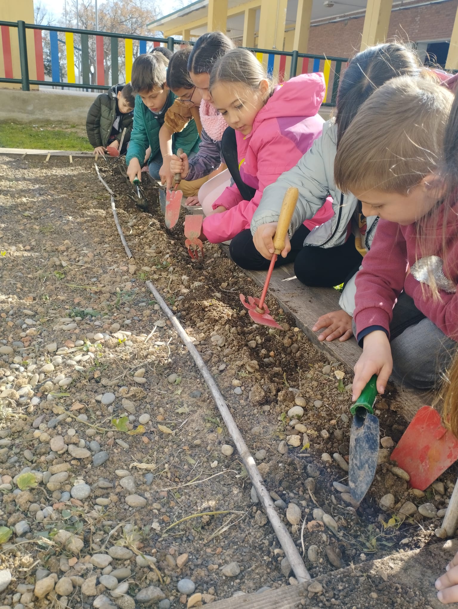 WhatsApp Image 2023-02-28 at 16.46.39 (2)