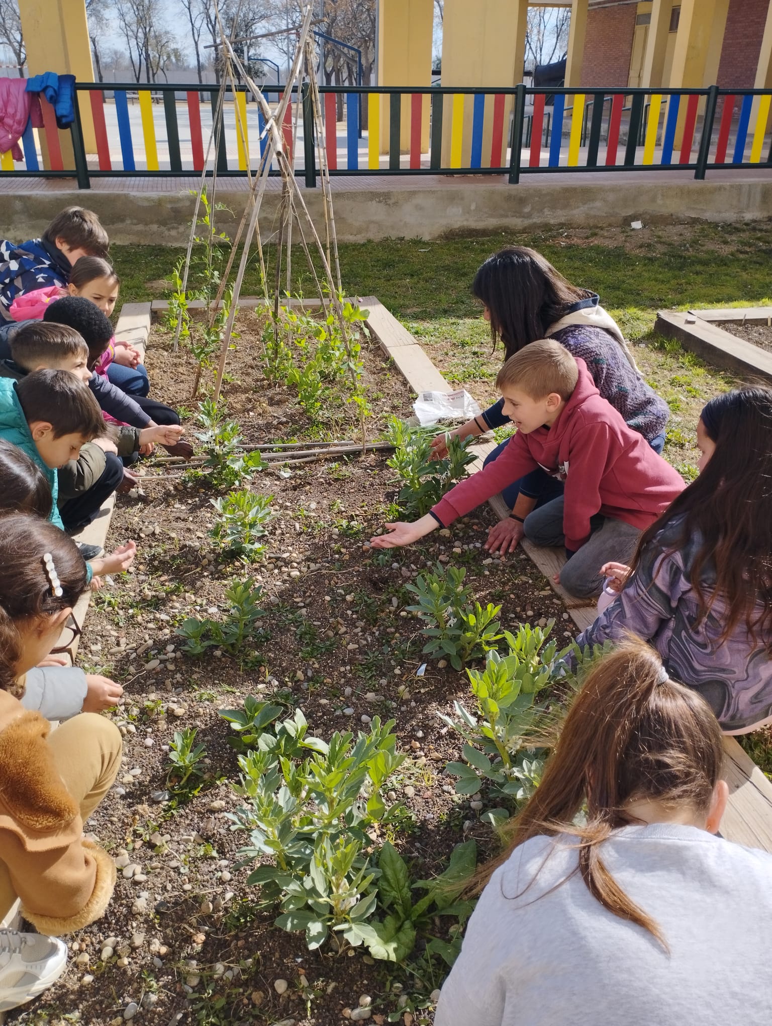 WhatsApp Image 2023-02-28 at 16.46.39 (3)