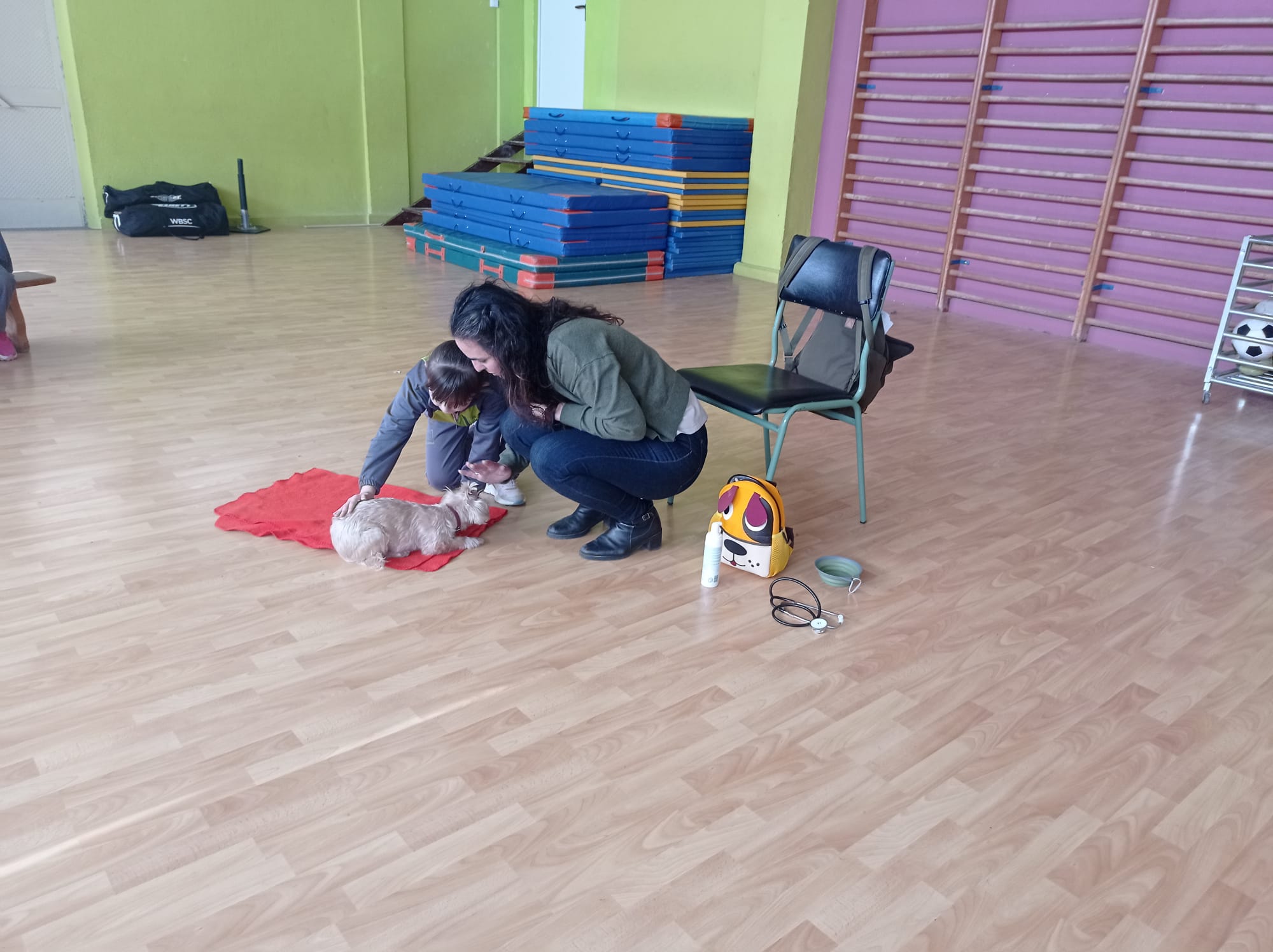 b19e569d-7977-41be-bfe5-2fa363c1a0a9