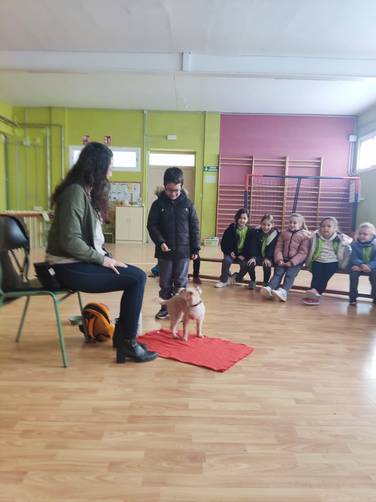 e1835807-bec4-4dc8-b4b7-e299c7b368fb