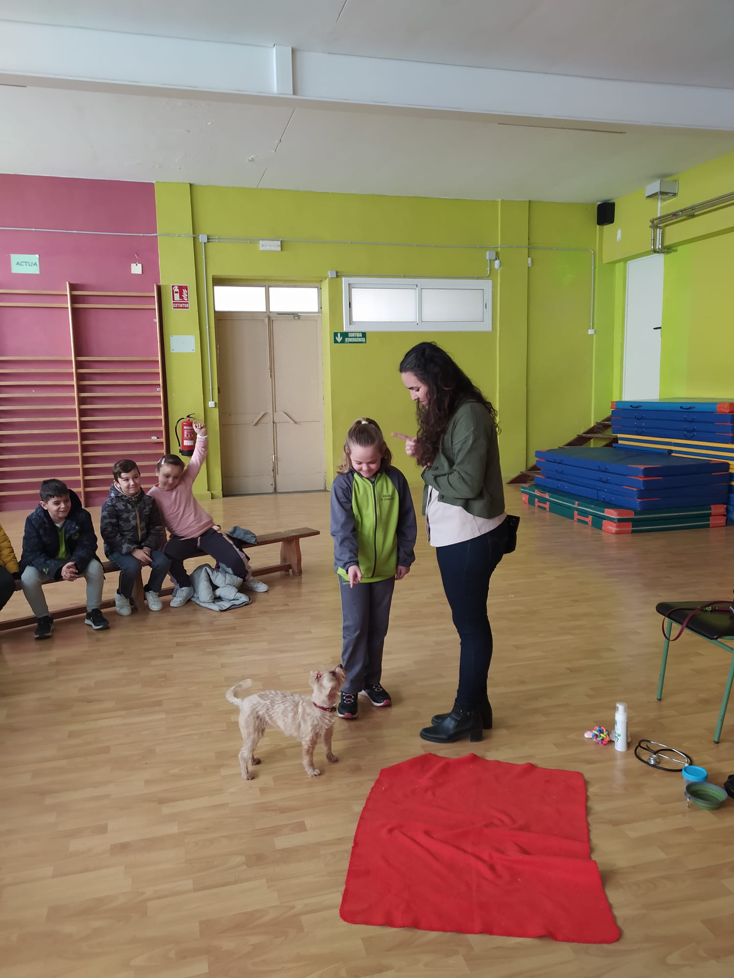 e8340df7-c6ed-4b87-9338-40219f185f77