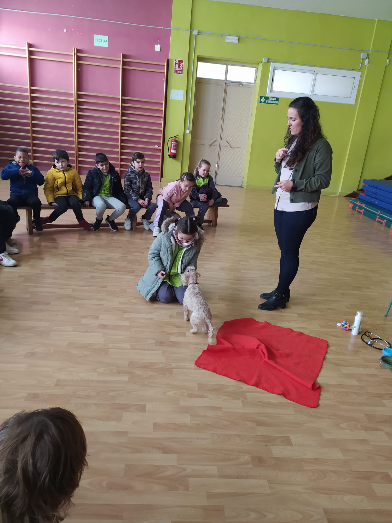 f6816df2-fa45-482e-bf81-064c8ed08d94