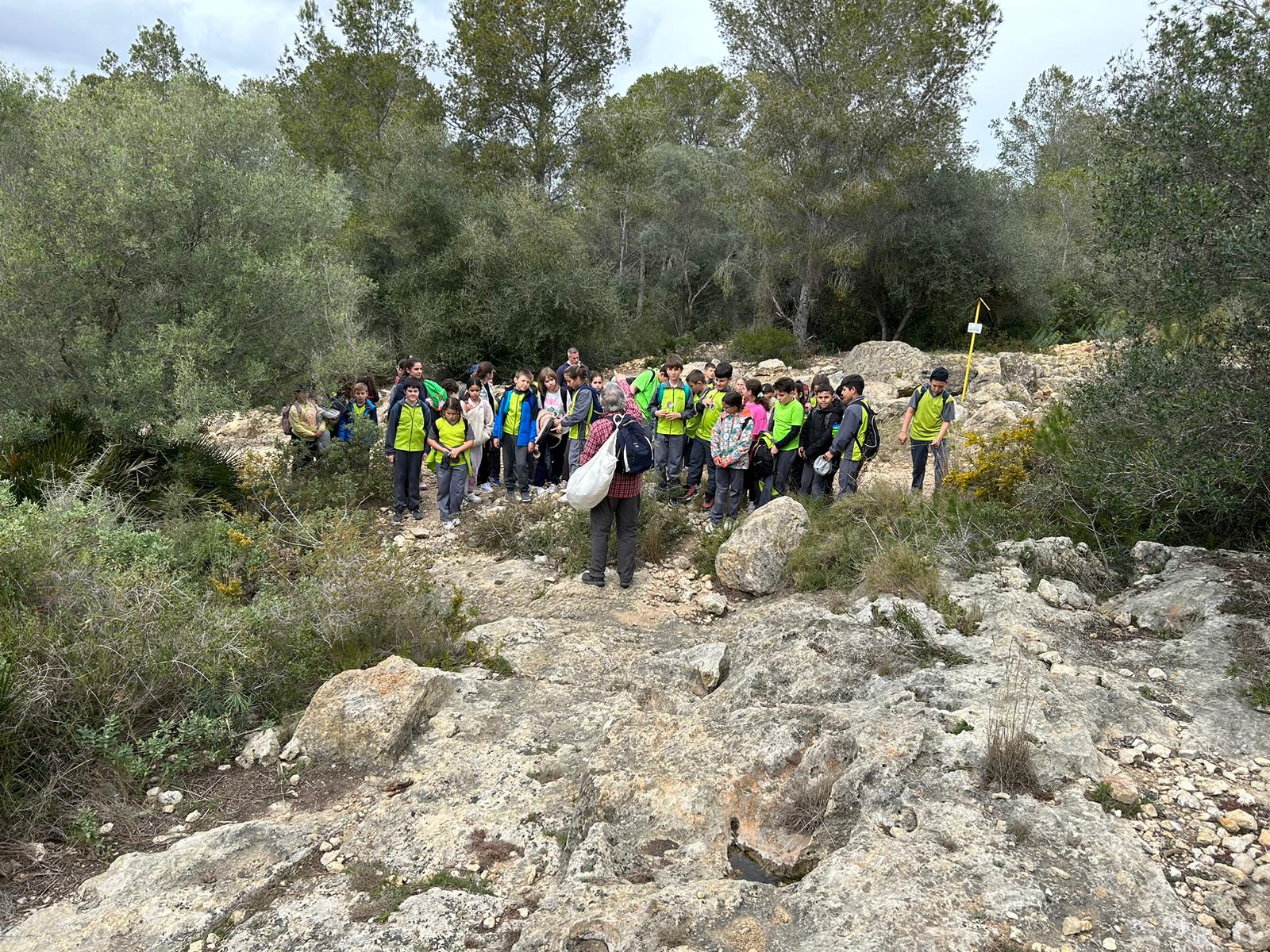 5b4abd1e-2493-4145-96c4-d8b11733ef61