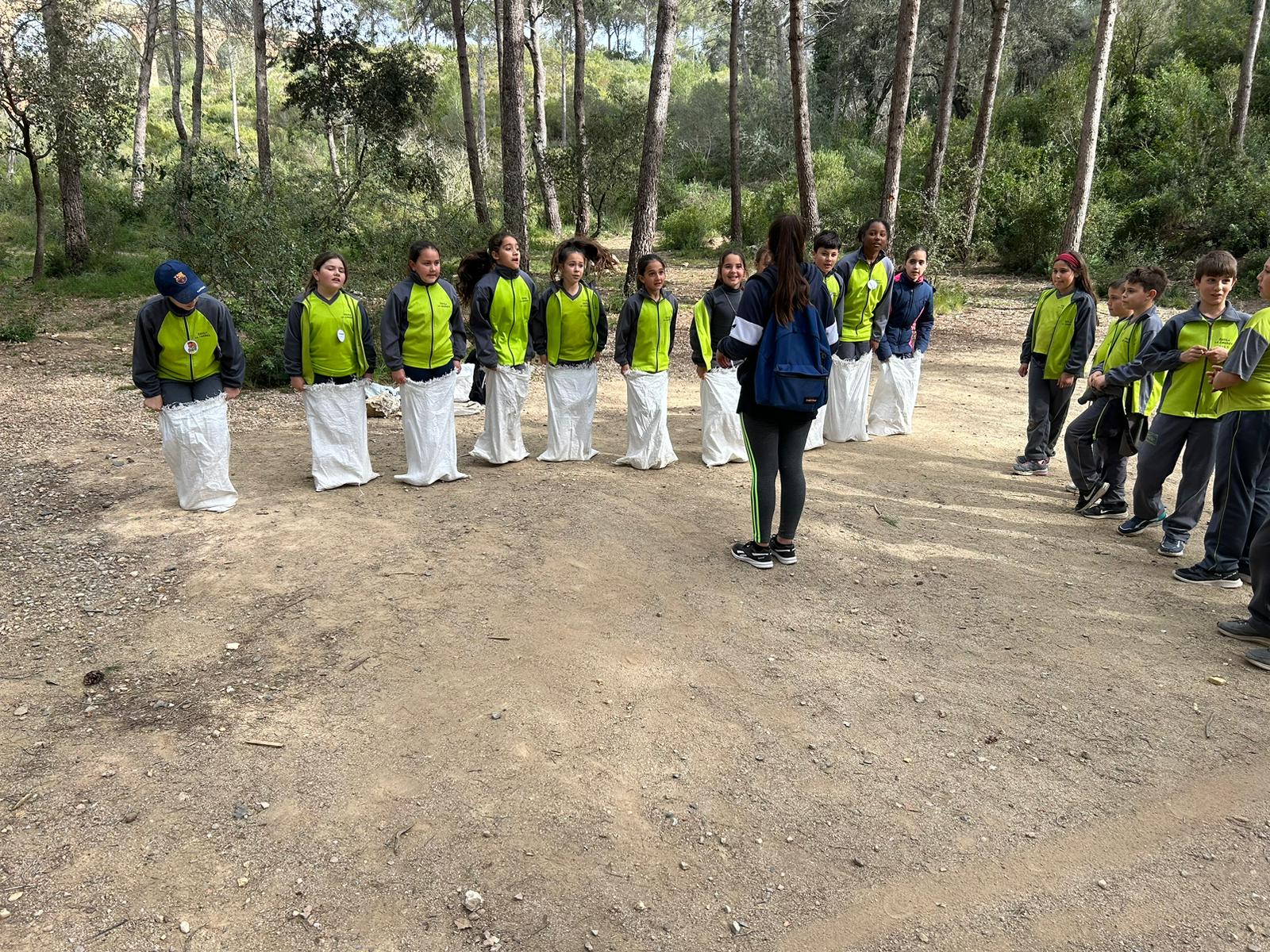 6ed4f1d5-8106-4717-aeb9-c791013de698