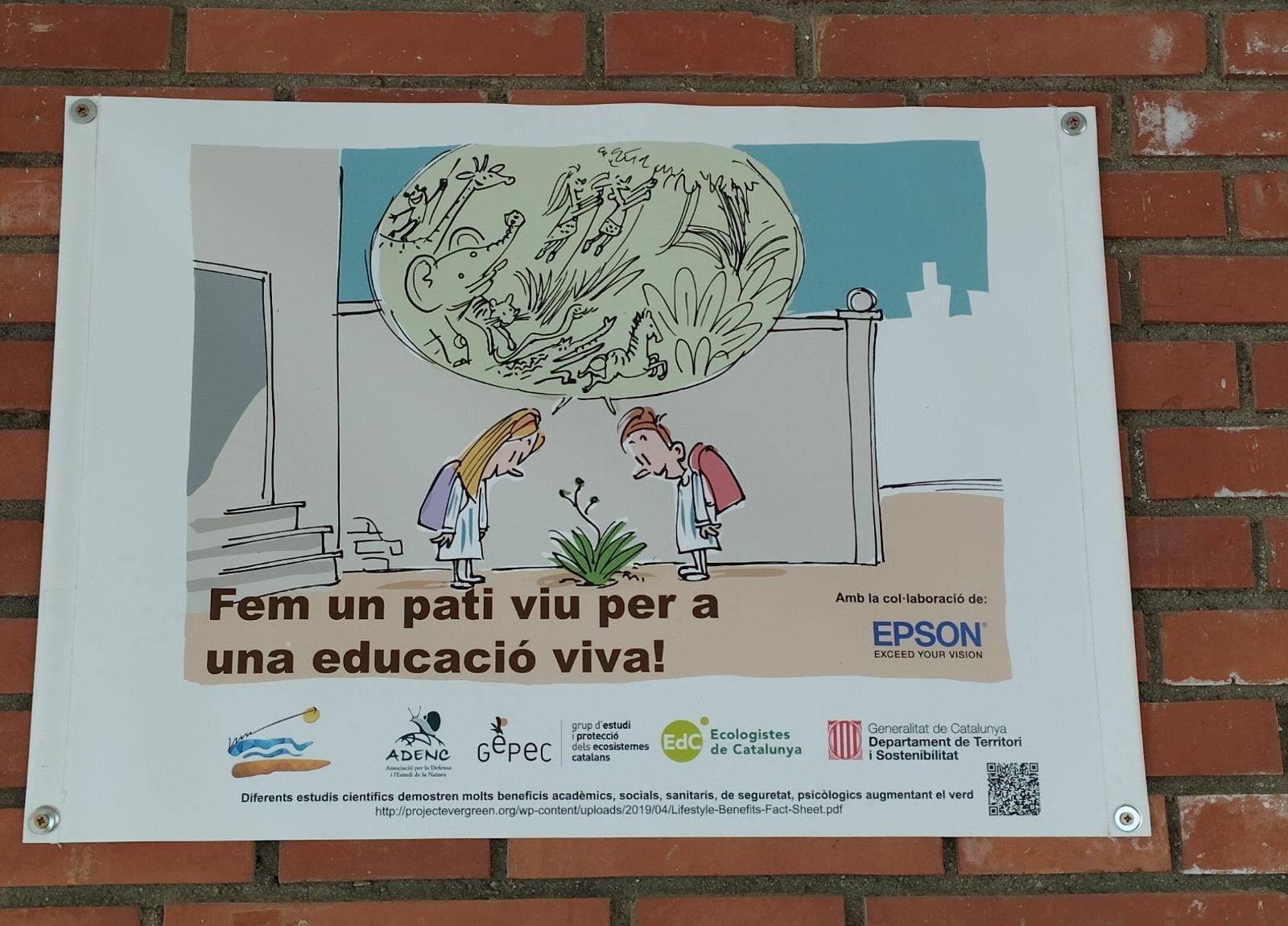 972a58c0-b9b3-4ed9-a5e0-afce97e2bd8b