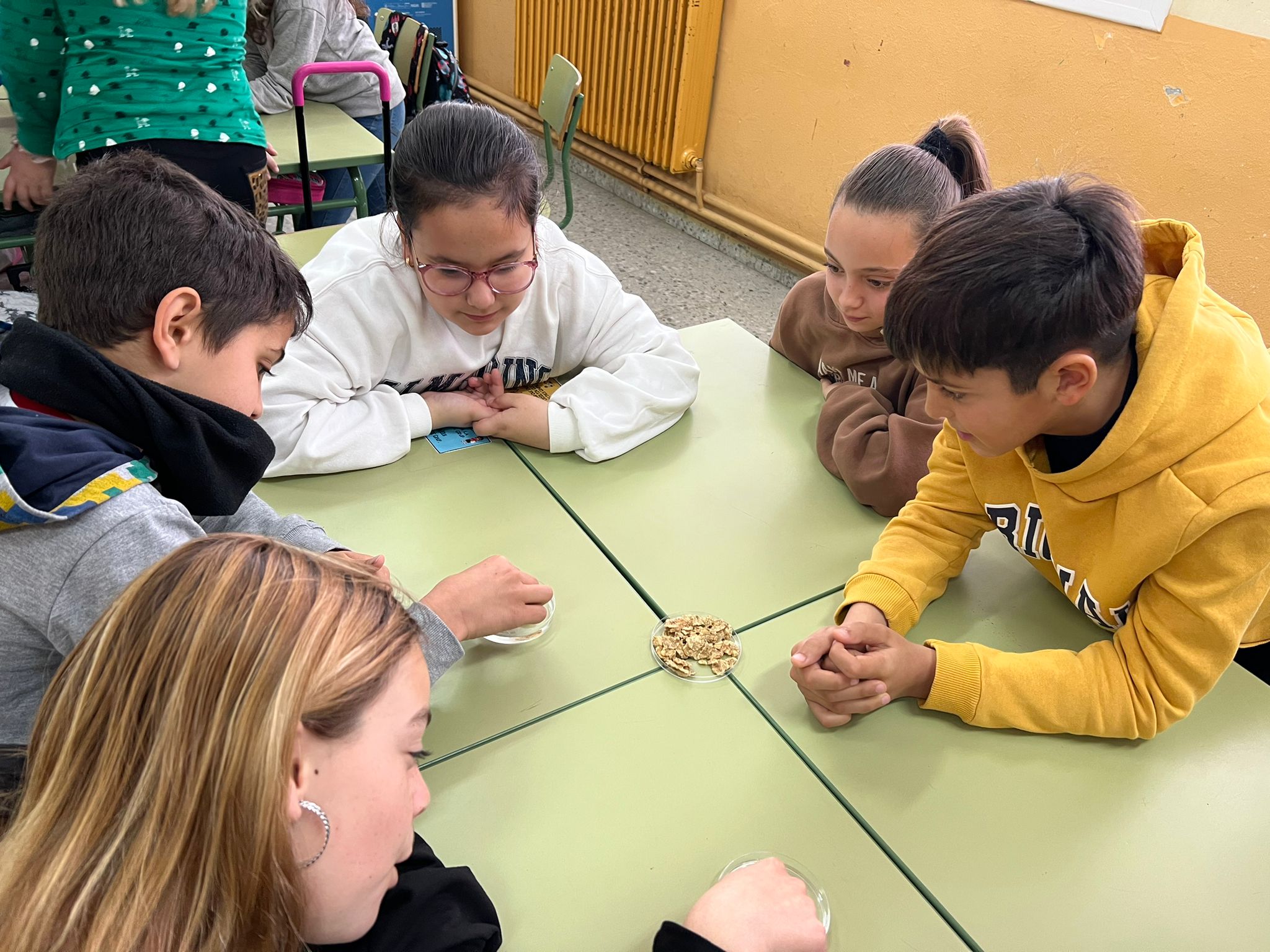 WhatsApp Image 2023-02-27 at 14.40.34