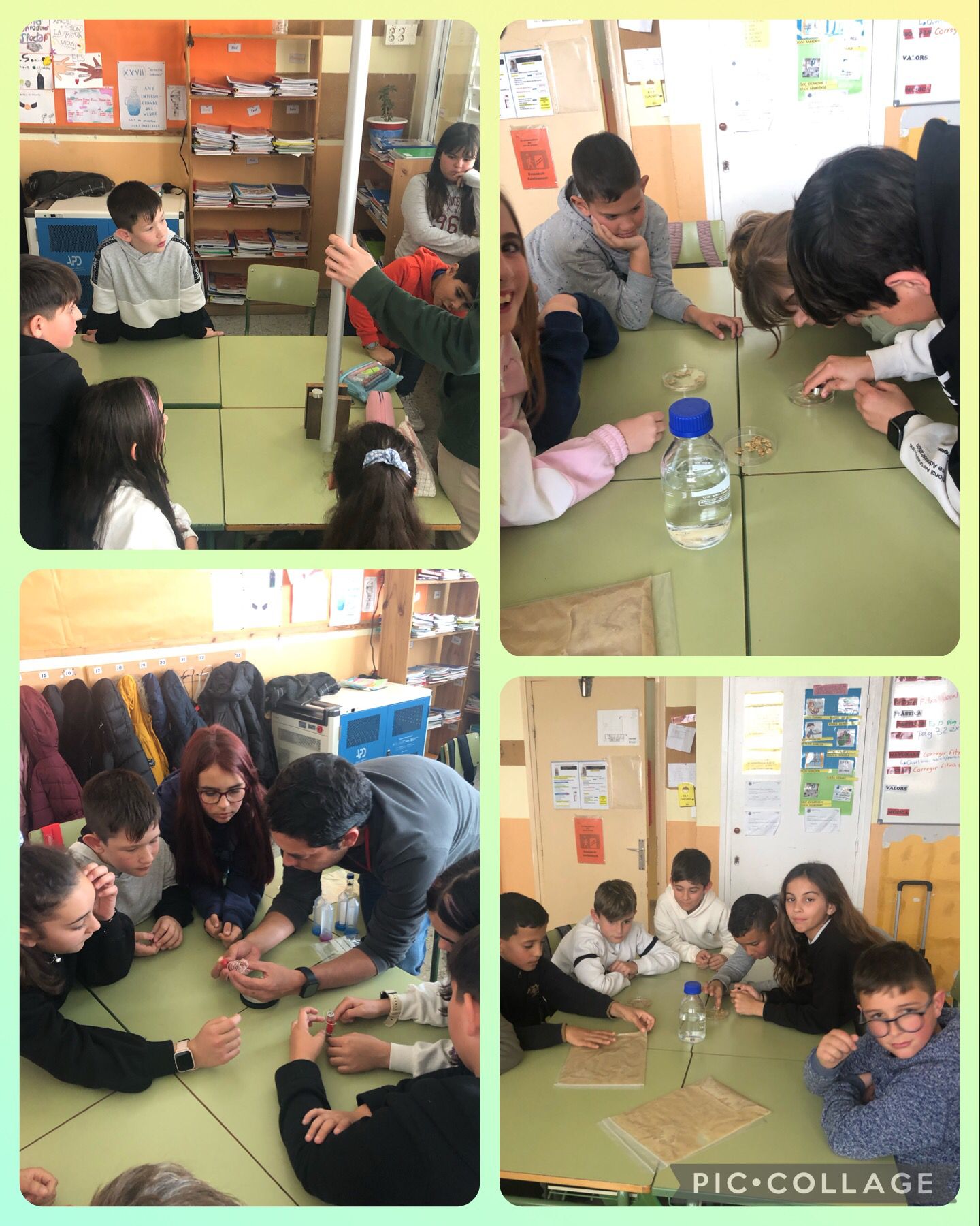 WhatsApp Image 2023-02-27 at 16.56.50-3