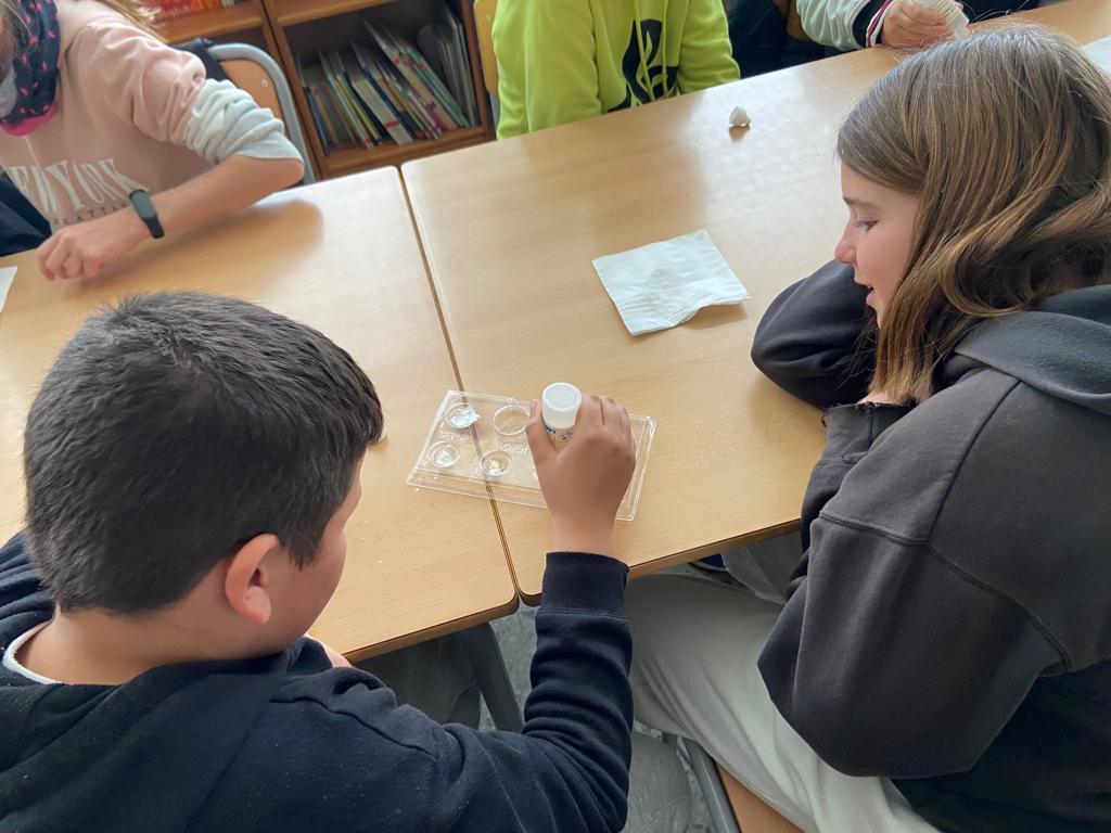 WhatsApp Image 2023-03-01 at 11.01.25-3