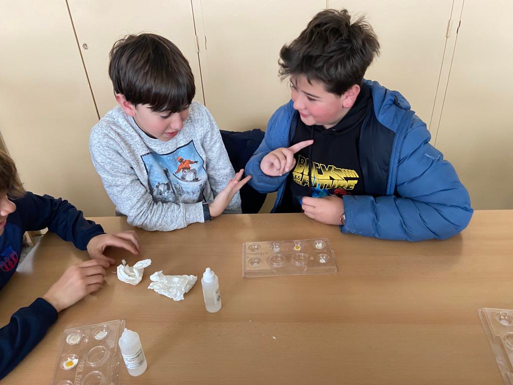 WhatsApp Image 2023-03-01 at 11.01.25-5