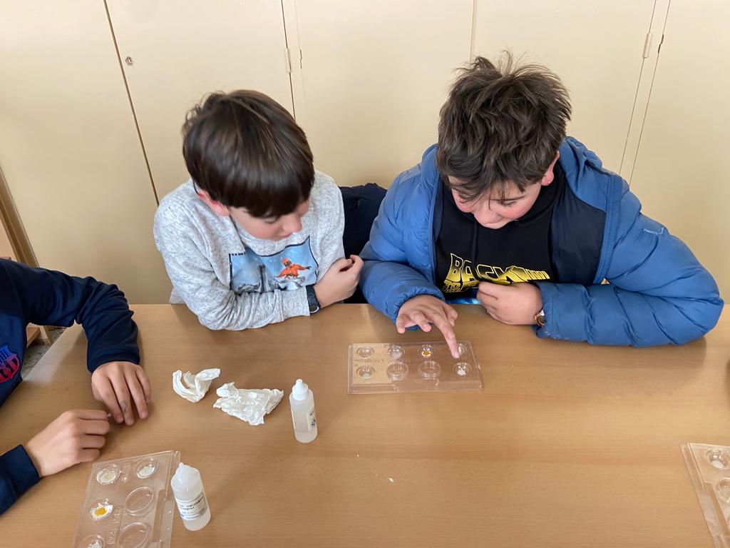 WhatsApp Image 2023-03-01 at 11.01.25-6