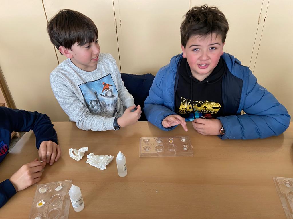 WhatsApp Image 2023-03-01 at 11.01.25-7