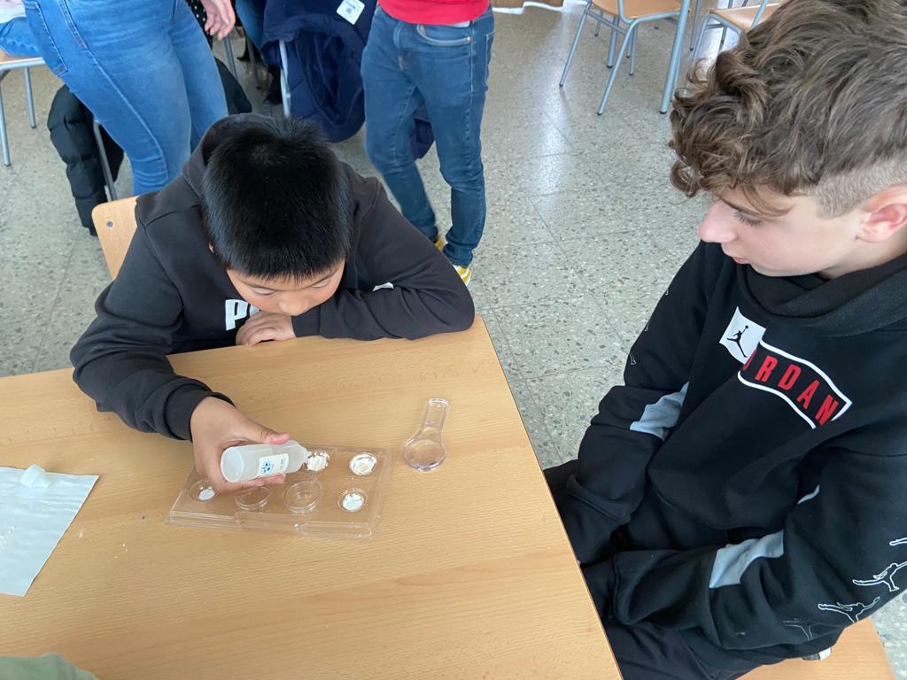 WhatsApp Image 2023-03-01 at 11.01.25