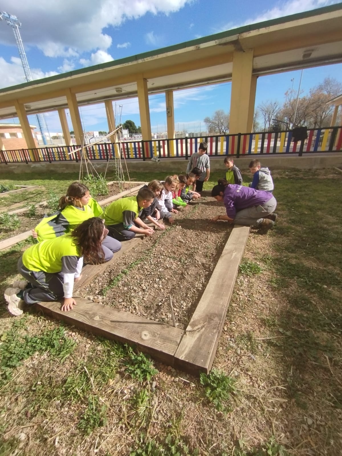 WhatsApp Image 2023-03-08 at 09.19.25 (2)