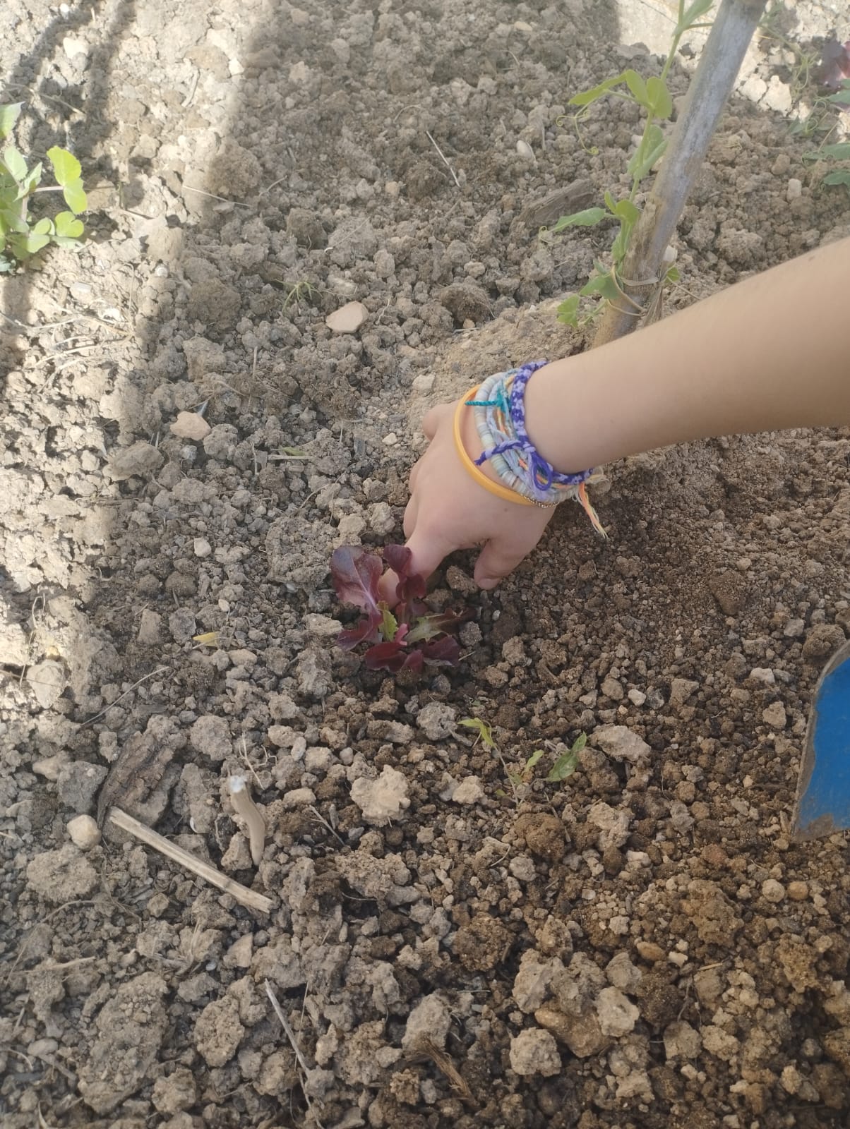 WhatsApp Image 2023-03-08 at 09.19.25 (3)