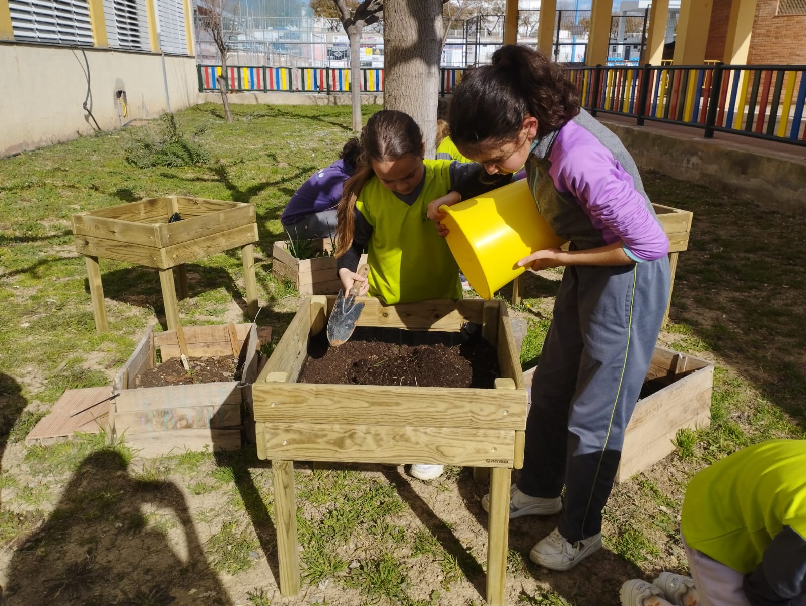 WhatsApp Image 2023-03-08 at 09.19.25 (4)