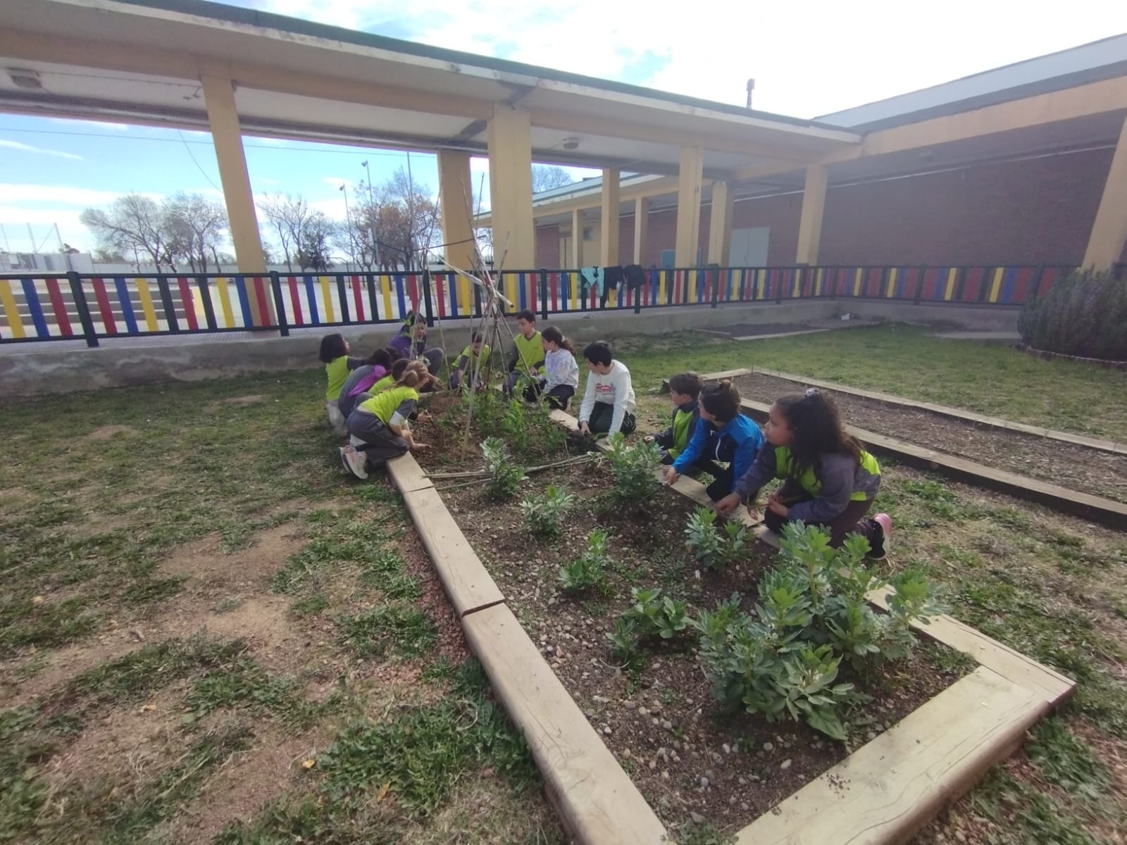 WhatsApp Image 2023-03-08 at 09.19.25 (6)