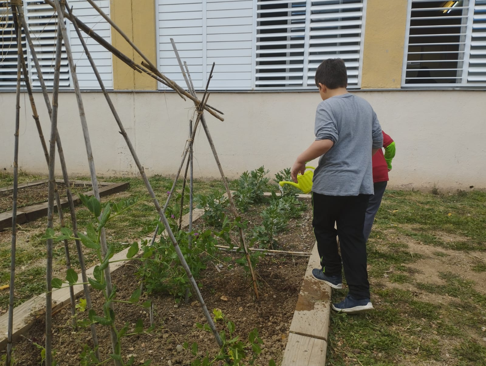 WhatsApp Image 2023-03-08 at 09.19.25