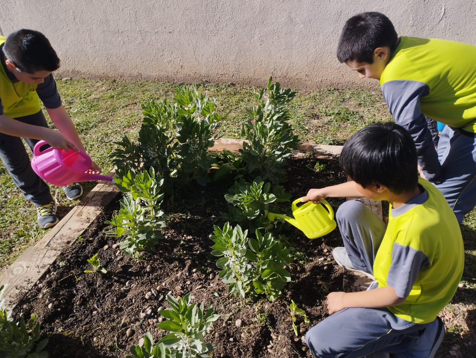 WhatsApp Image 2023-03-14 at 16.33.39 (1)