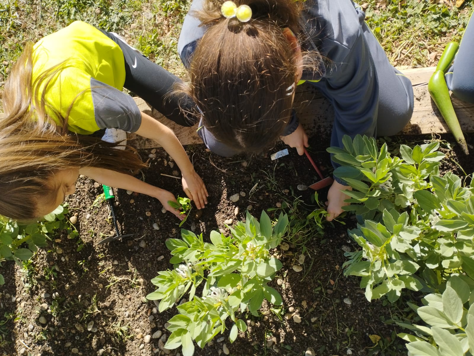 WhatsApp Image 2023-03-14 at 16.33.39