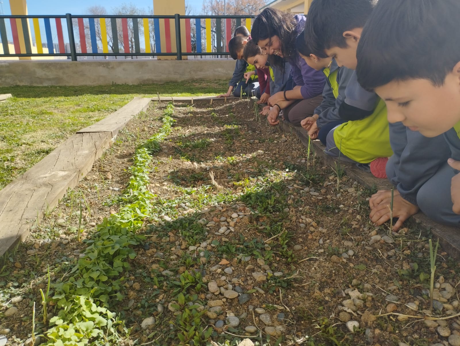 WhatsApp Image 2023-03-14 at 16.33.40 (1)