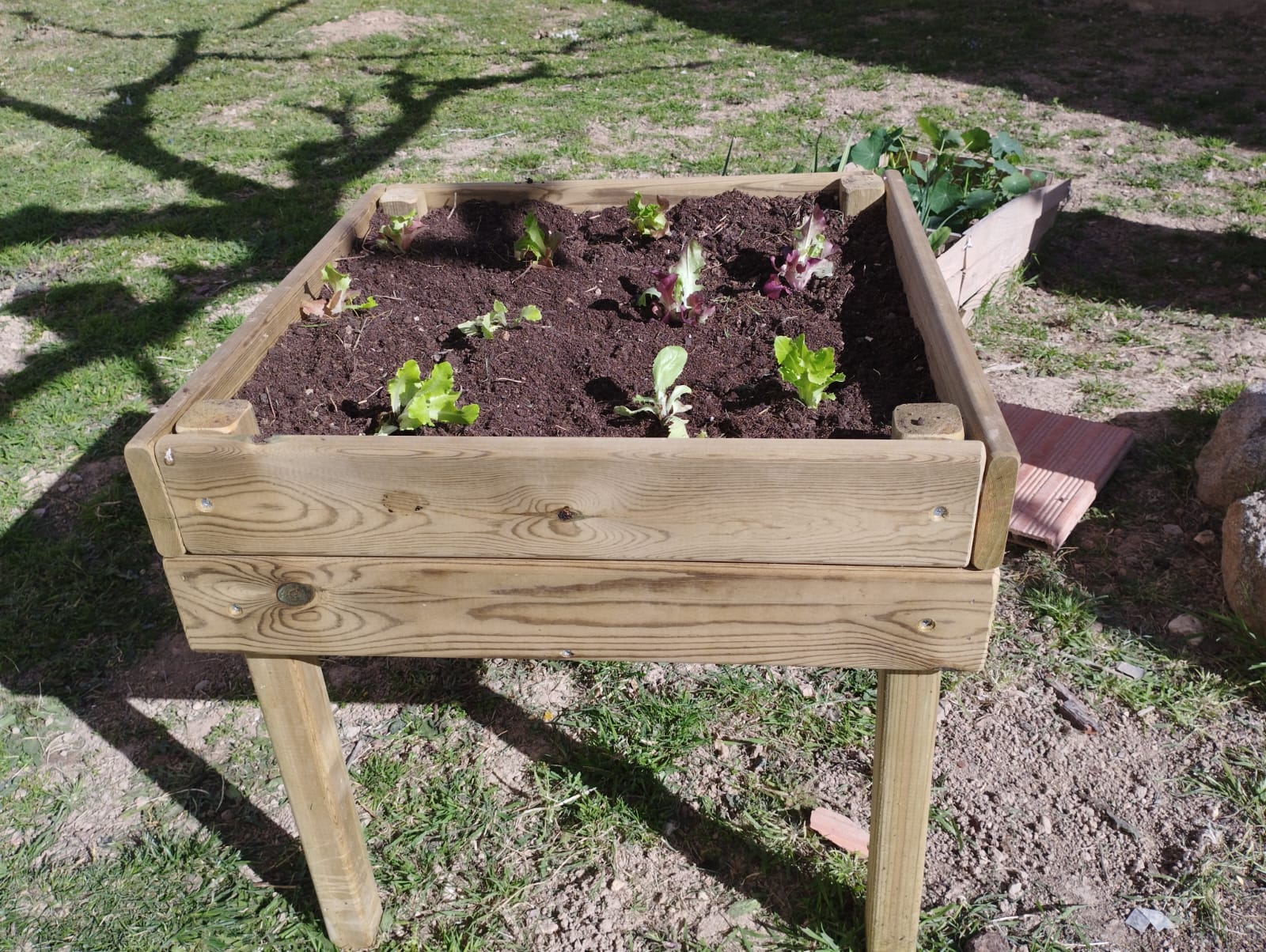 WhatsApp Image 2023-03-14 at 16.33.40 (2)