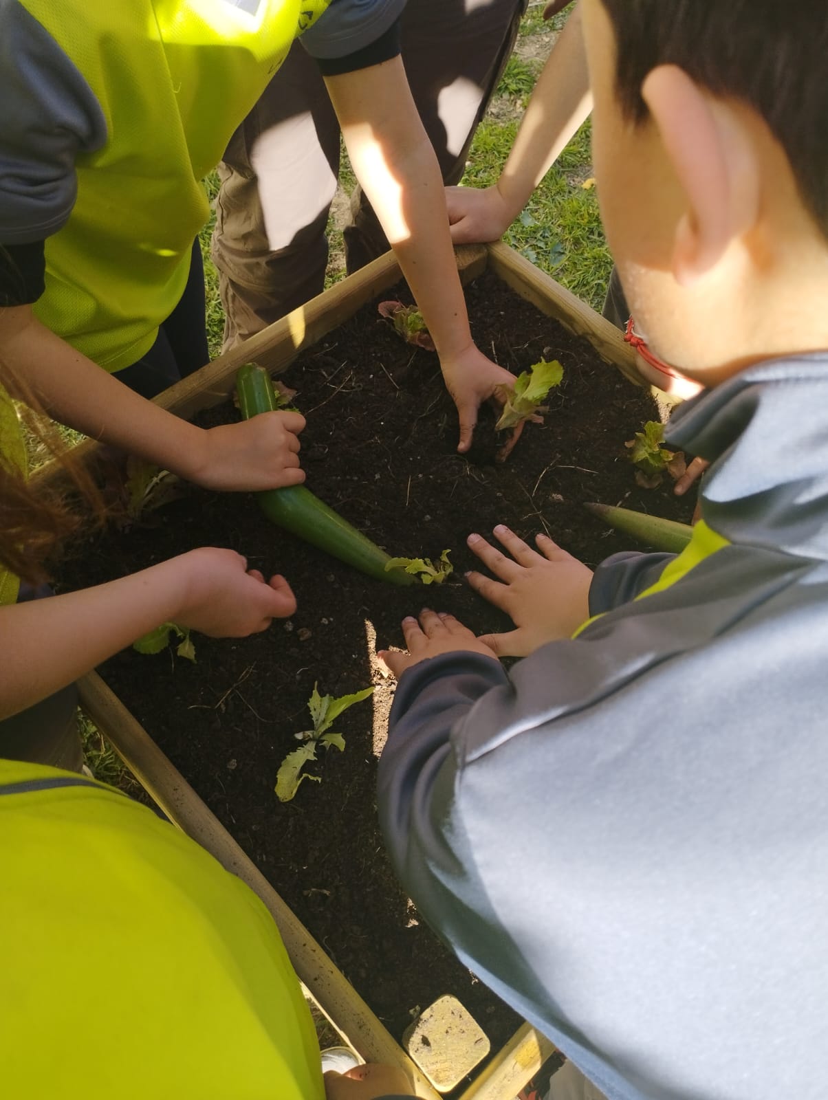 WhatsApp Image 2023-03-14 at 16.33.40 (3)