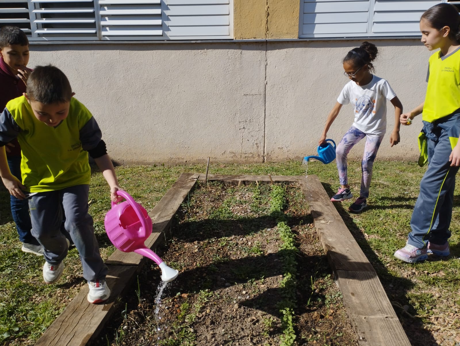 WhatsApp Image 2023-03-14 at 16.33.40 (5)