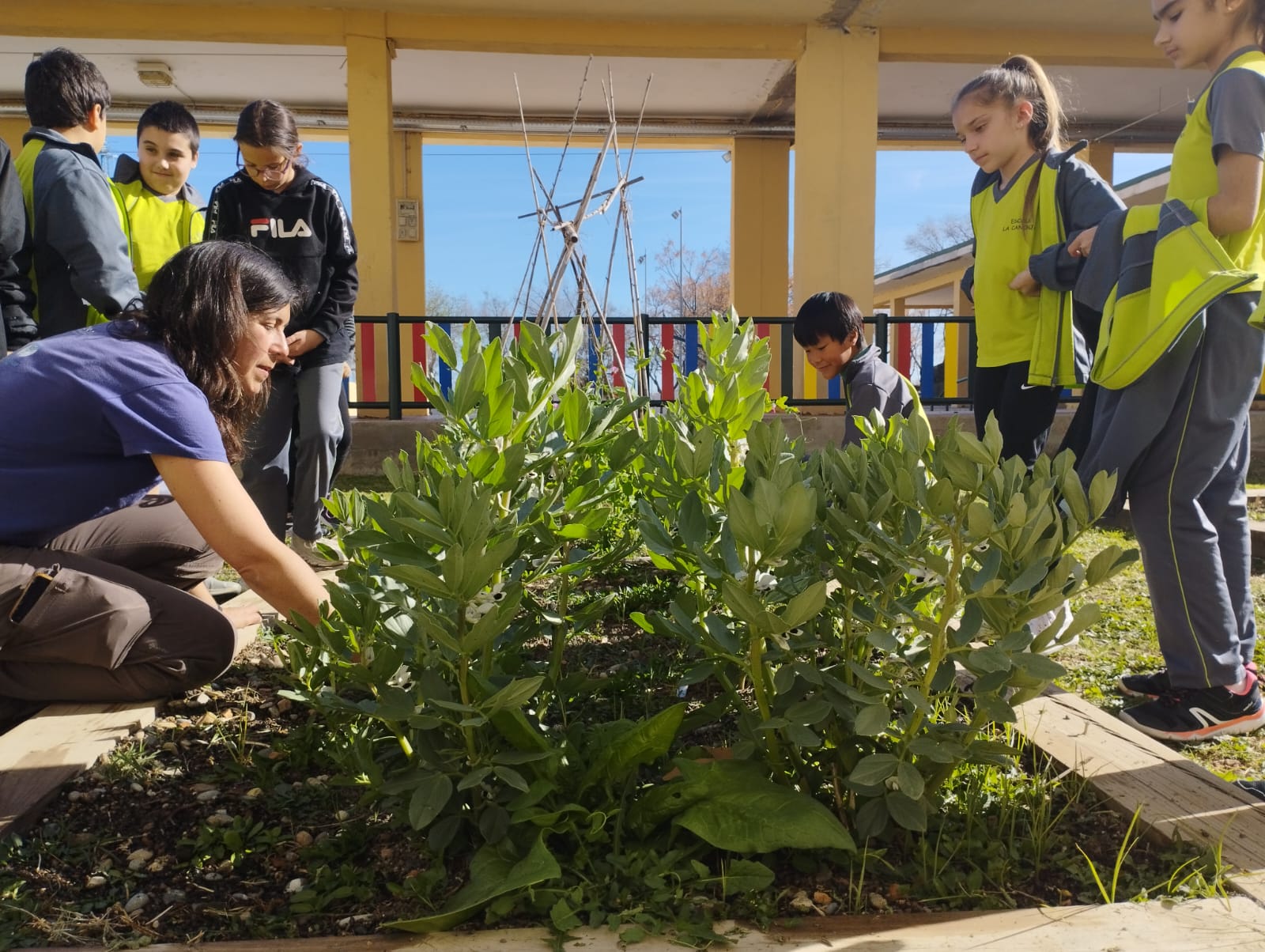 WhatsApp Image 2023-03-14 at 16.33.40