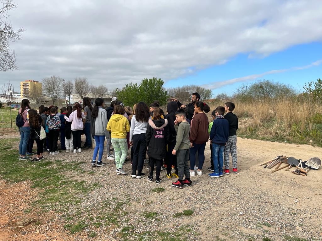 WhatsApp Image 2023-03-16 at 12.13.04