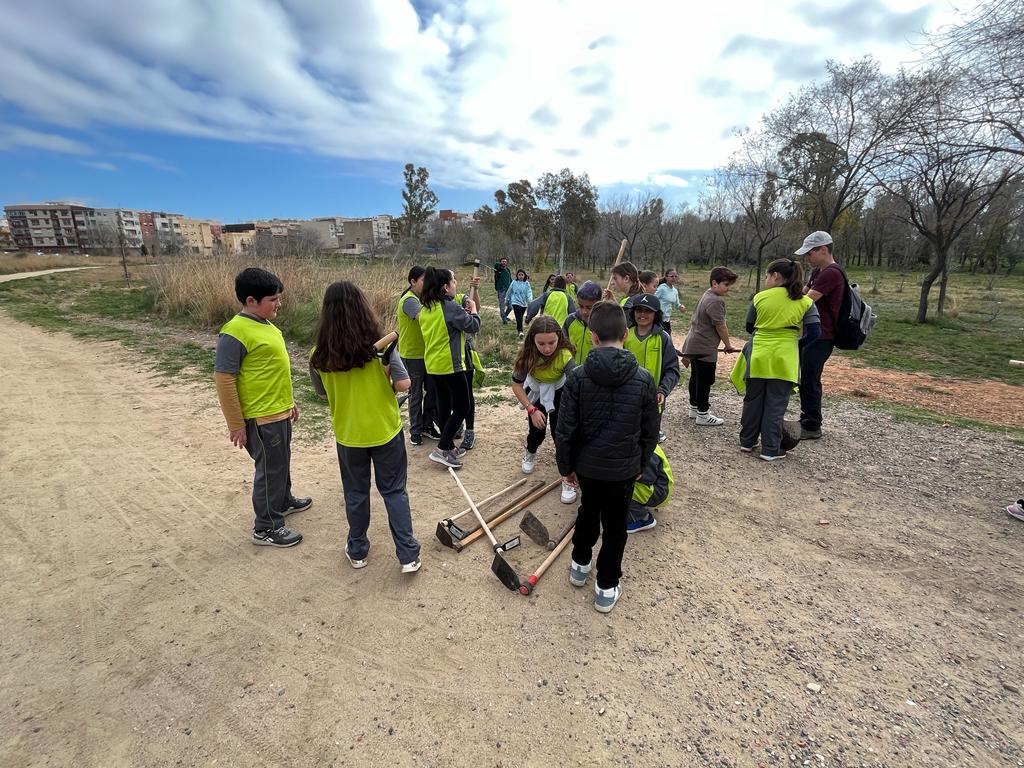 WhatsApp Image 2023-03-16 at 12.13.06