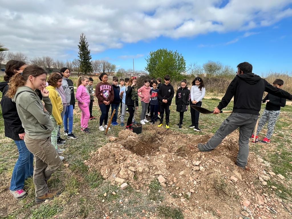 WhatsApp Image 2023-03-16 at 12.13.07